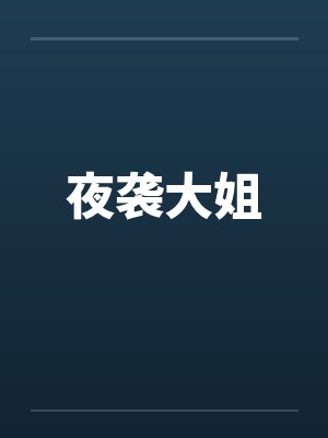 夜袭大姐by佚名