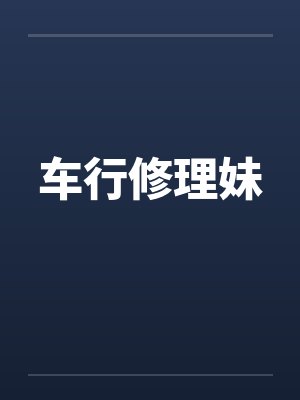 车行修理妹