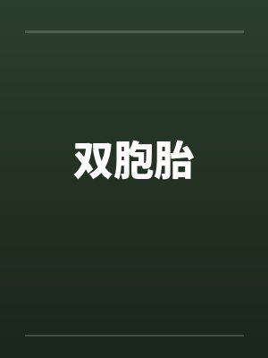 双胞胎by佚名笔趣阁无弹窗