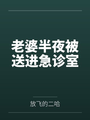 都市鉴宝天王林枫小说