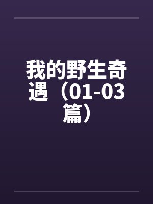 我的野生奇遇（01-03篇）笔趣阁无弹窗
