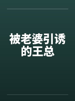 被老婆引诱的王总by佚名